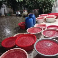 رب گوجه خانگی ارسال رایگان