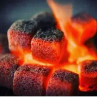 زغال پسته و گردو