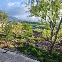 باغ و ویلا در روستای آلوچ|فروش خانه و ویلا|مشگین شهر, |دیوار