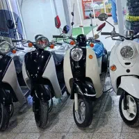 فروشگاه پاکشتی تودی،وینو،اسکوپی بندر دیلم