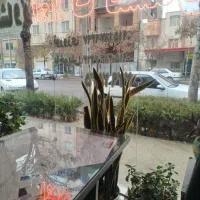 ویلایی دربست