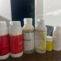 علف کش های گندم