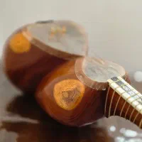 تار ایرانی|سازهای سنتی|تبریز, |دیوار