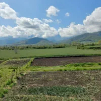 زمین-باغی-1000متر-نوده-ملک