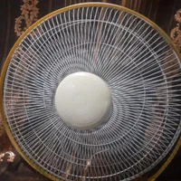 محافظ کامل پروانه پنکه