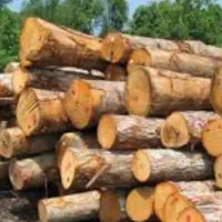 خریدار چوب هیزم باغی الوار با بالاترین قیمت