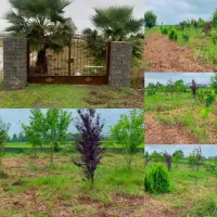 فروش-استثنایی-زمین-در-بهترین-موقعیت-زیر-قیمت-فوری