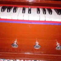 هارمونی تک سور خشکه خشک|پیانو، کیبورد، آکاردئون|زاهدان, |دیوار