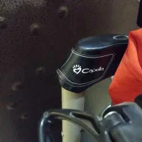 کالسکه برندCapella|کالسکه و لوازم جانبی|تهران, تختی|دیوار