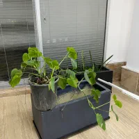 کمدفلزی ودوربین مداربسته وگلدان ولوستروبخارشوی|حراج|کیش, |دیوار