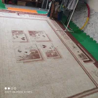 تاتامی ورزشی