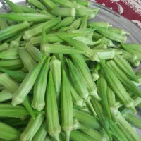بامیه درجه یک