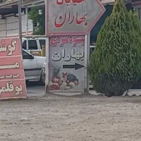 زمین-باغی-نصف-قیمت-نزدیک-بزرگمهر