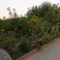 اجاره دامداری و سوییت|اجارهٔ دفتر صنعتی، کشاورزی، تجاری|جوادآباد, |دیوار