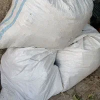 کوده کبوتر