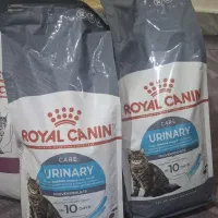 غذای گربه رویال کنین پت شاپ