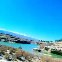 فروش ۱۲ هکتار زمین کشاورزی|فروش دفتر صنعتی، کشاورزی، تجاری|راهگان, |دیوار