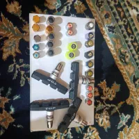 سر کرمک و زغال دوچرخه