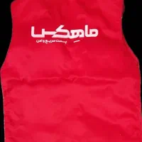 استخدام راننده با خودرو سواری یا وانت تسویه روزانه
