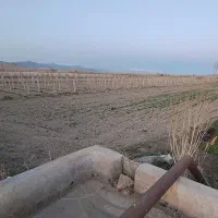 زمین کشاورزی  در سلطان احمد