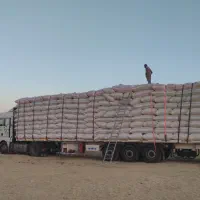 کاه نرم و باکیفیت گندم دیم، عاری از گرد و خاک|عمده‌فروشی|اصفهان, نقش جهان|دیوار