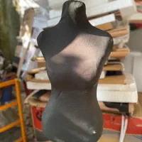 مانکن سوزن خور