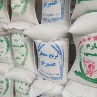برنج صدری خزر و عنبربو جنوب و صدری محلی «کالابرگ»