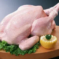 استخدام نیرو مرغ وماهی