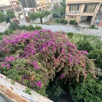 125متر-فرنیش-2خواب-تاپلوکیشن-ساحلی