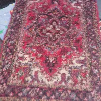 زرنیم تازه از دار افتاده به قیم مناسب|فرش|تبریز, |دیوار