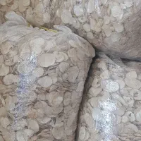 موسیر خشک