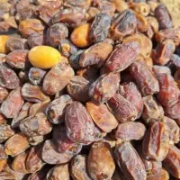شیره خرما اعلا و خرمای درجه یک|خوردنی و آشامیدنی|اصفهان, جلفا|دیوار