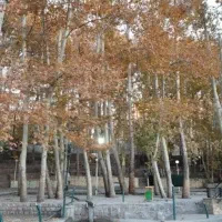 برنامه دورهمی در فضای باز