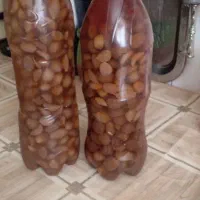 سیر ترشی ۶ سال
