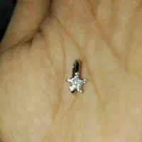 پیرسینگ بینی فیک