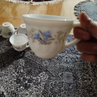 تعدادی ظروف پذیرایی|ظروف سرو و پذیرایی|مرند, |دیوار