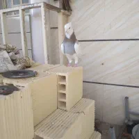 پرنده برافروش