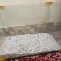 آکواریوم حراج