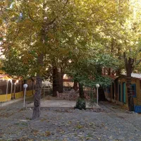 سرایدار خانم و اقا