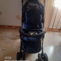 کالسکه مارک دلیجان