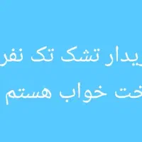 تشک تک نفره