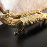 طاووس برنجی