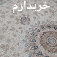 فرش ۱۲ متری کرم|فرش|قم, بکایی|دیوار