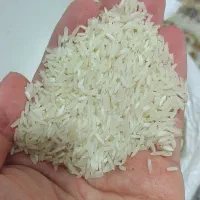 برنج هاشمی 260