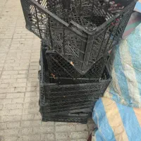 سبد|ظروف نگهدارنده، پلاستیکی، یک‌بارمصرف|همدان, |دیوار