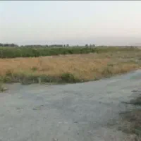 زمین باغی سر دونبش حاشیه جاده قدیم چناران