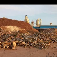 باغبانی  و هرس کردن درختان