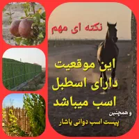 فروش-ویژه-باغ-انحصاری-این-موقعیت-اسطبل-اسب-داره