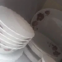ارکوپال