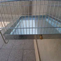 قفس سهره مارک ارمان|لوازم جانبی حیوانات|ری, دیلمان|دیوار